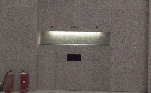 企业 碧丽强势上线辽宁朝阳高铁站